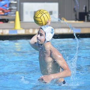 Fundraising Page: Dominic Palandrani